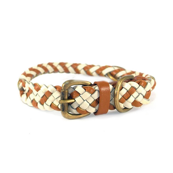 georgie paws | tonto dog collar | tan + chalk | extra large - LC