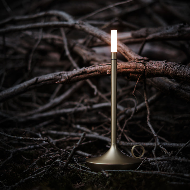 graypants | wick portable table lamp | brass 26cm