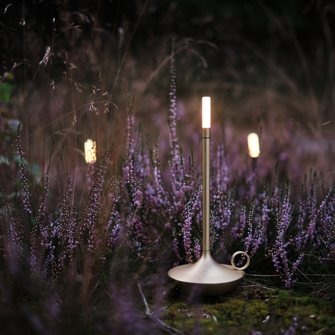 graypants | wick portable table lamp | brass 26cm