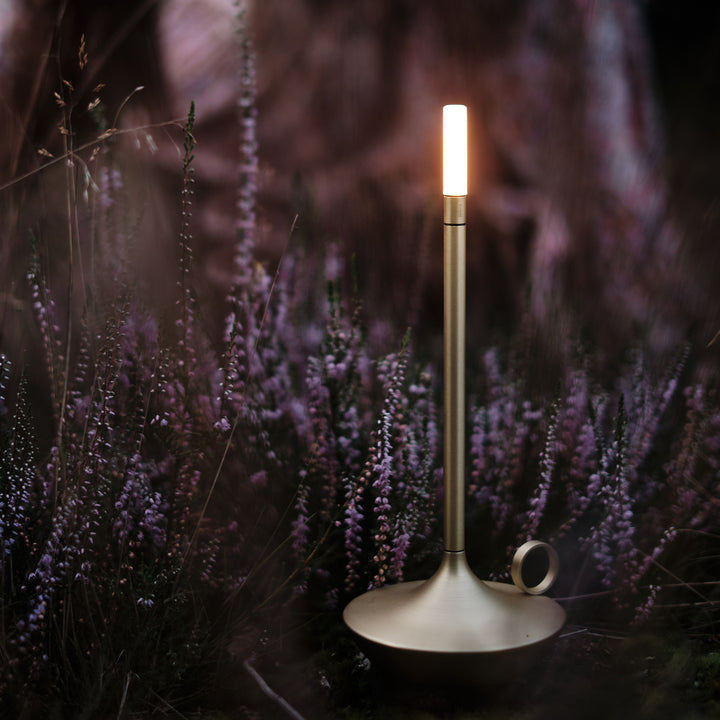 graypants | wick portable table lamp | brass 26cm