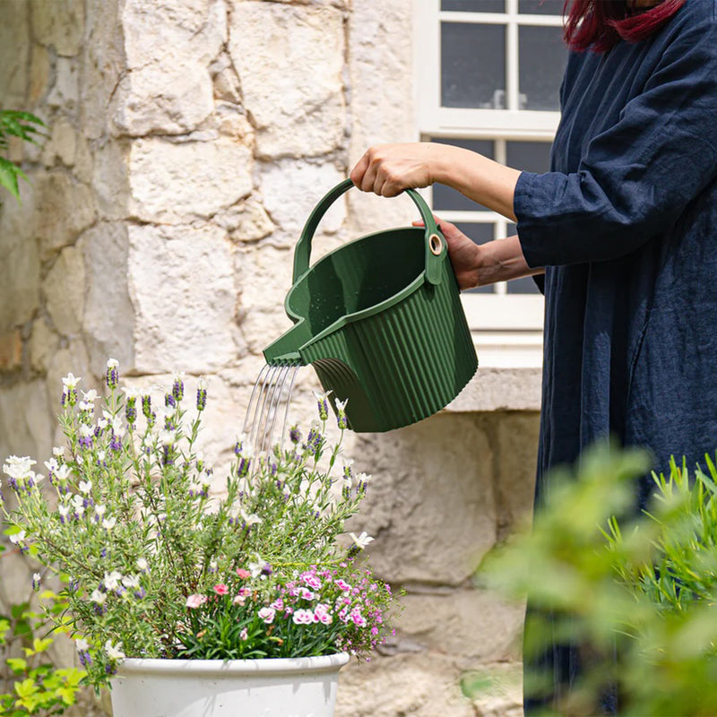 hachiman | garden beetle watering can | dark green 5 litre