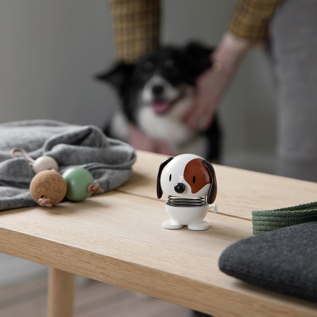 hoptimist | animals | dog white small