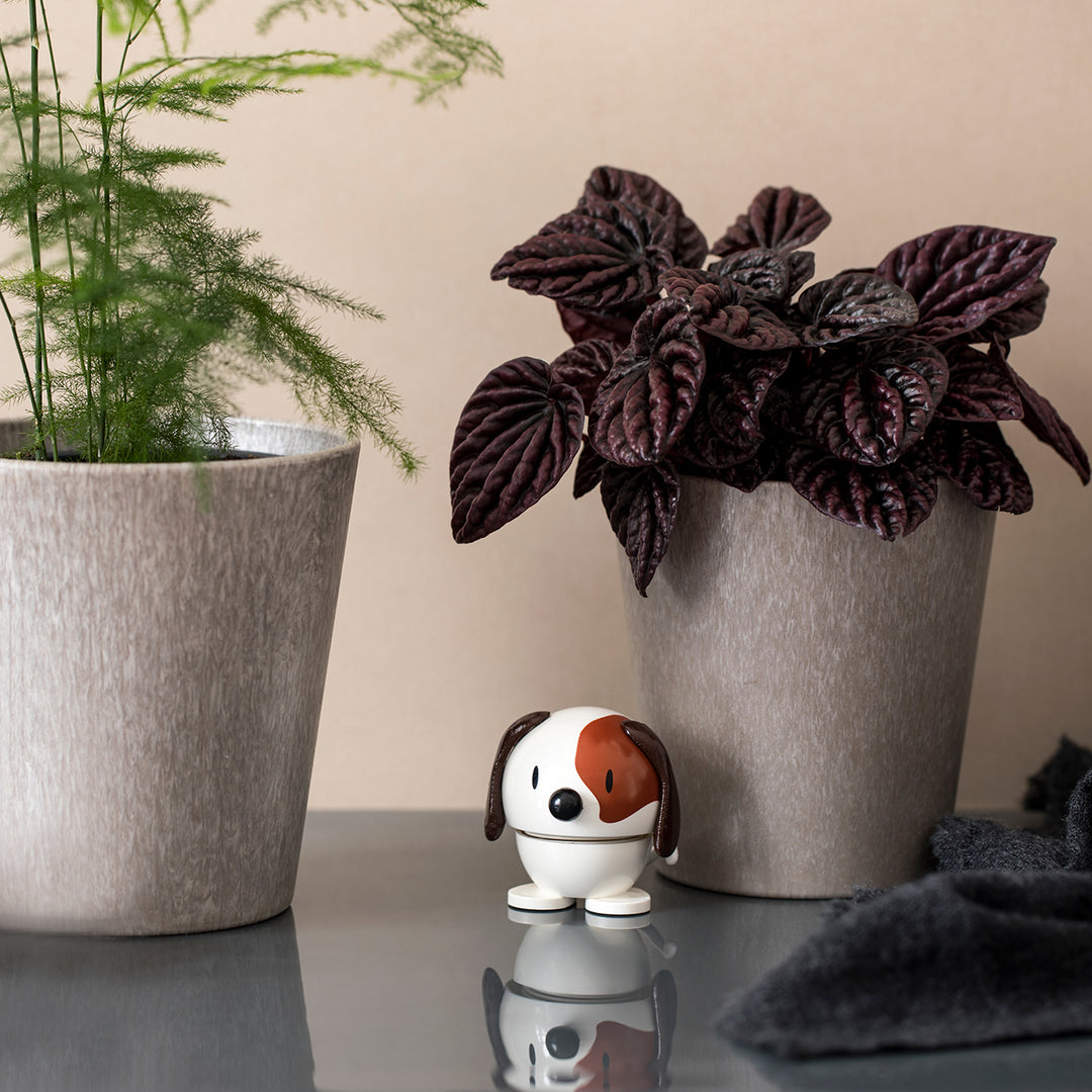 hoptimist | animals | dog white small