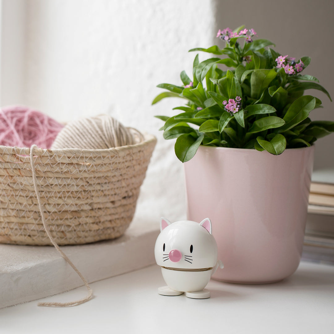 hoptimist | animals | cat white small