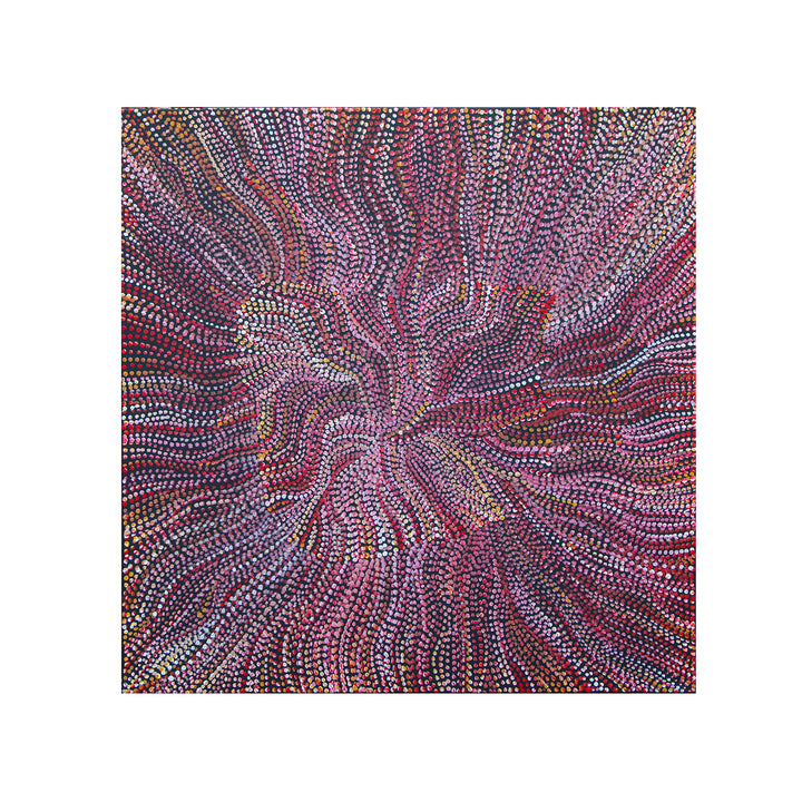 joy purvis pitjara | original artwork | bush seeds - ID40044