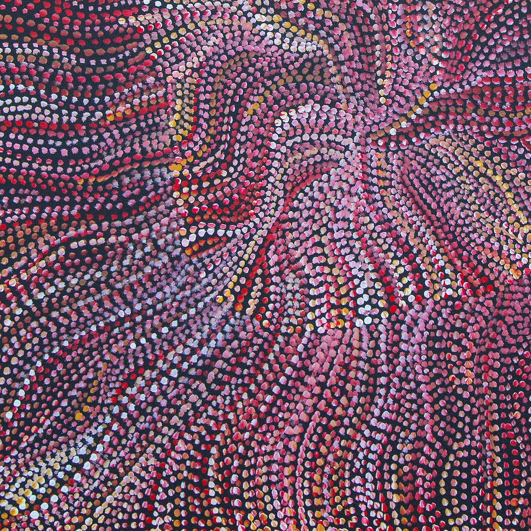 joy purvis pitjara | original artwork | bush seeds - ID40044