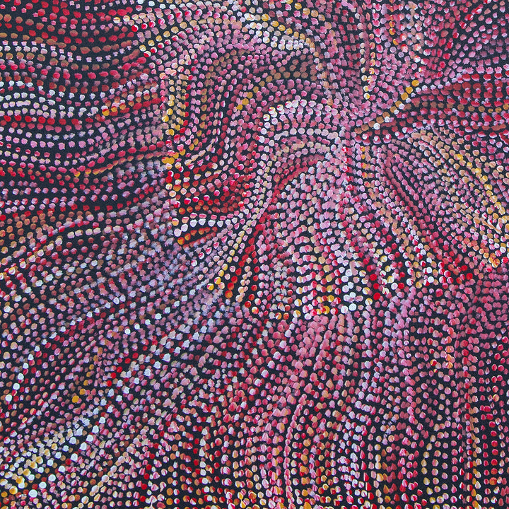 joy purvis pitjara | original artwork | bush seeds - ID40044