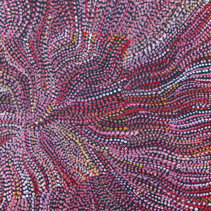 joy purvis pitjara | original artwork | bush seeds - ID40044