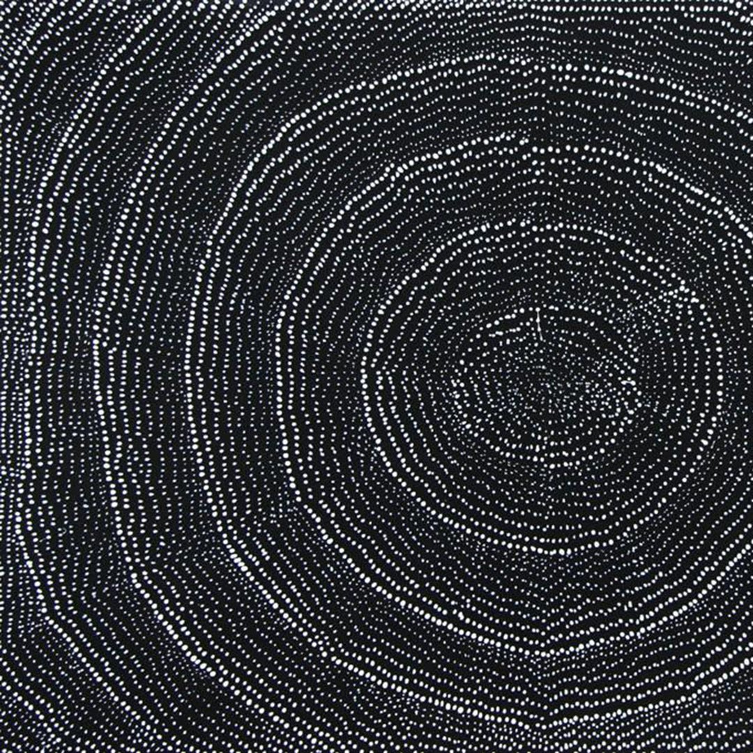 lily kelly napangardi | original artwork | rock hole - ID40690