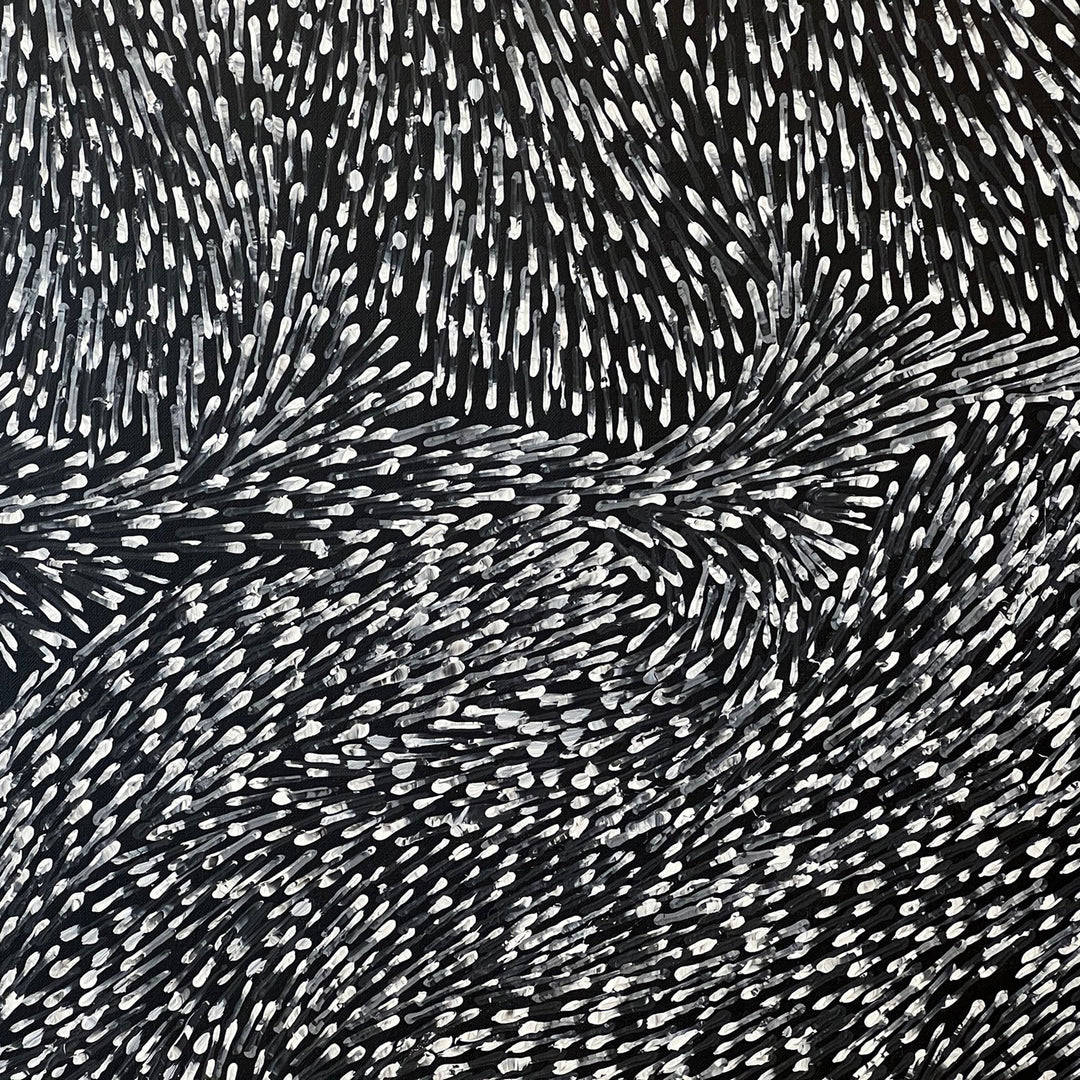 lynette corby nungurrayi | original artwork | tree root dreaming - ID32410