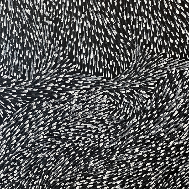 lynette corby nungurrayi | original artwork | tree root dreaming - ID32410