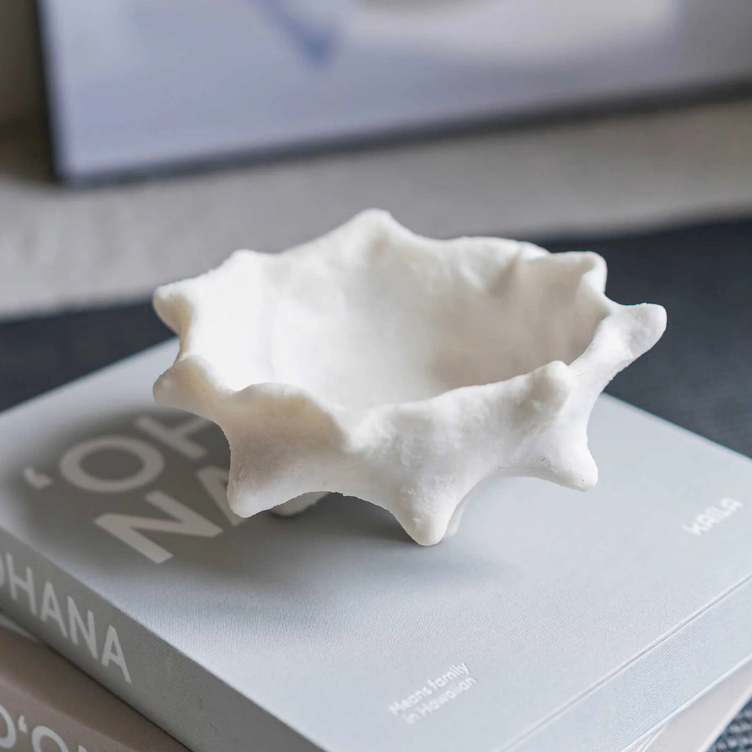 mette ditmer | art piece | chestnut bowl | off white