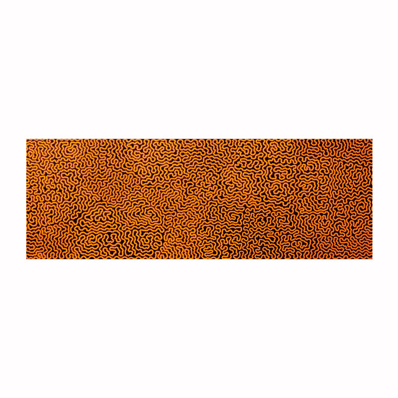 raelene williams ngala | original artwork | damper seeds - ID42510