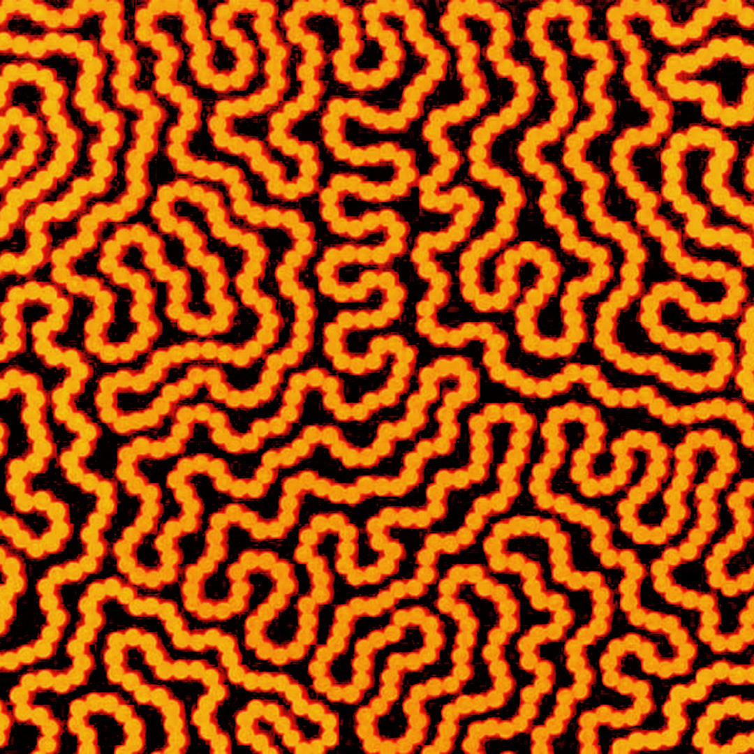 raelene williams ngala | original artwork | damper seeds - ID42510