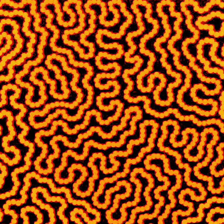 raelene williams ngala | original artwork | damper seeds - ID42510