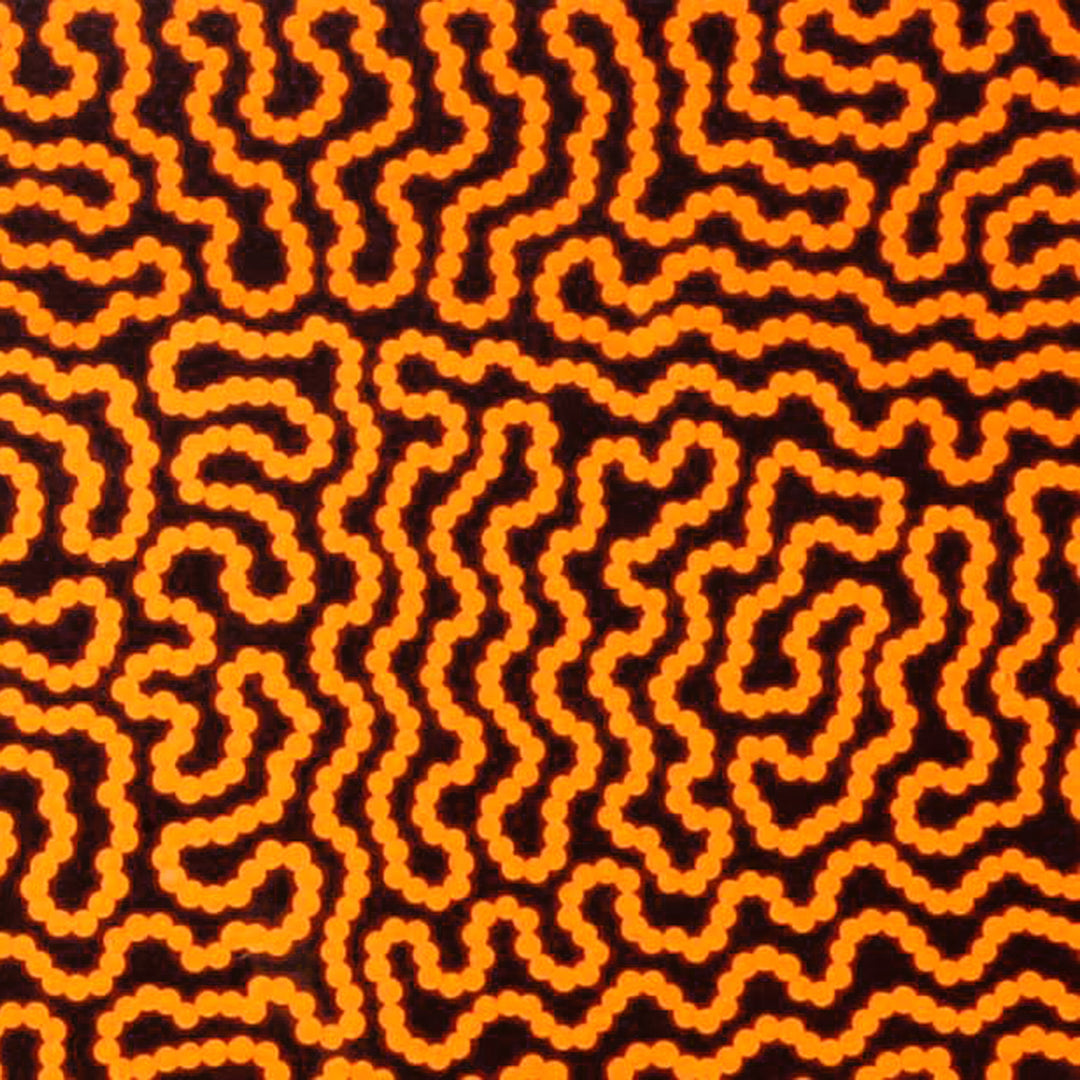 raelene williams ngala | original artwork | damper seeds - ID42510