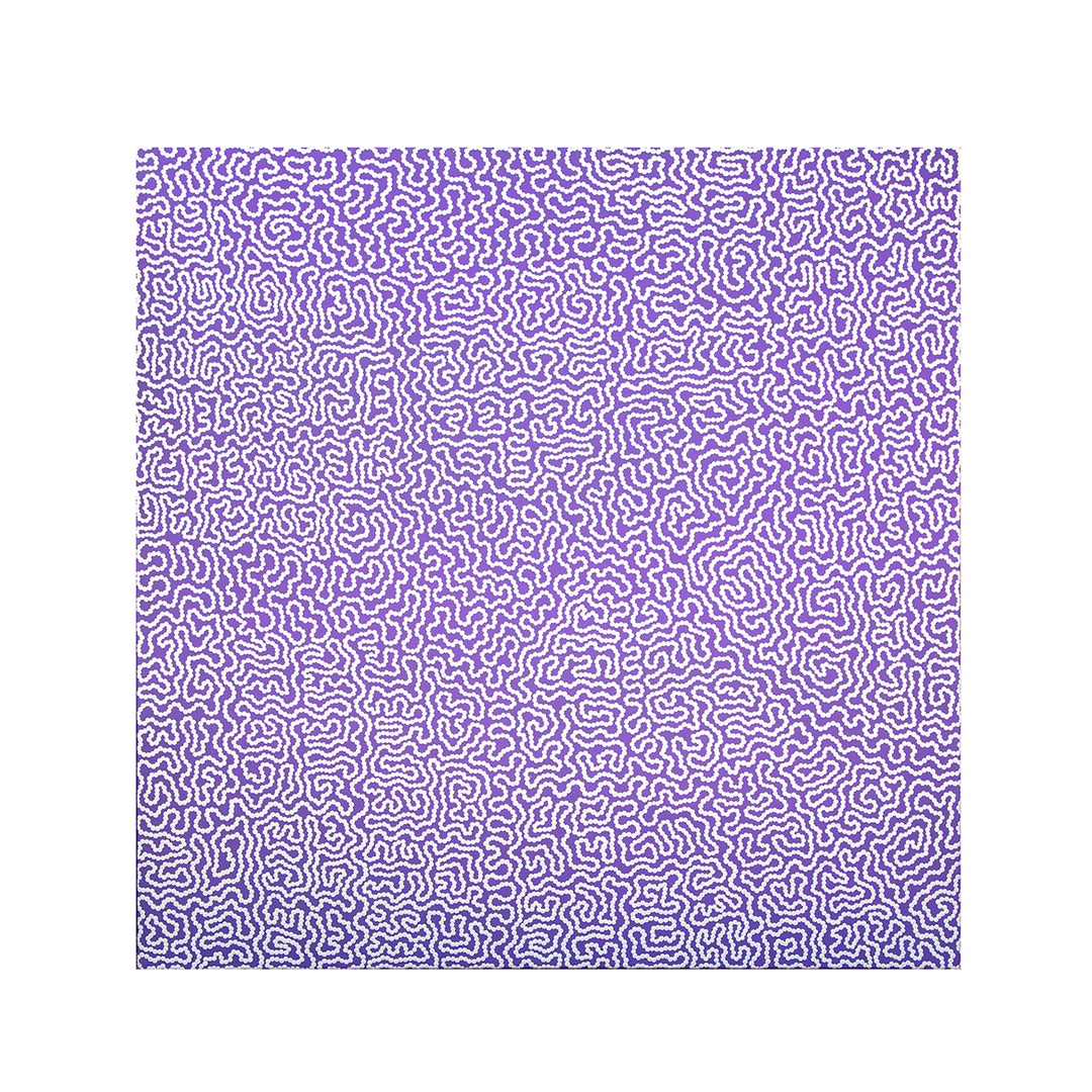 raelene williams ngala | original artwork | damper seeds - ID39964