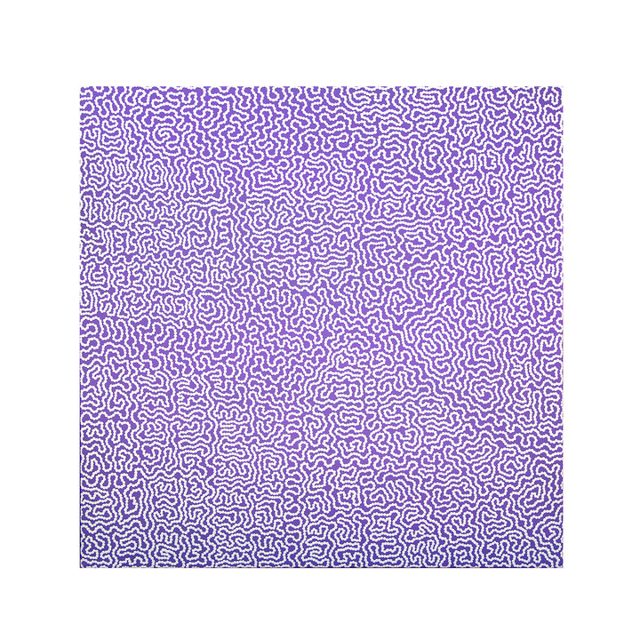 raelene williams ngala | original artwork | damper seeds - ID39964