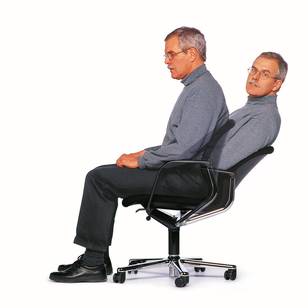 wilkhahn | FS 211/8 task chair | 5-star base + carpet castors | steelcut trio