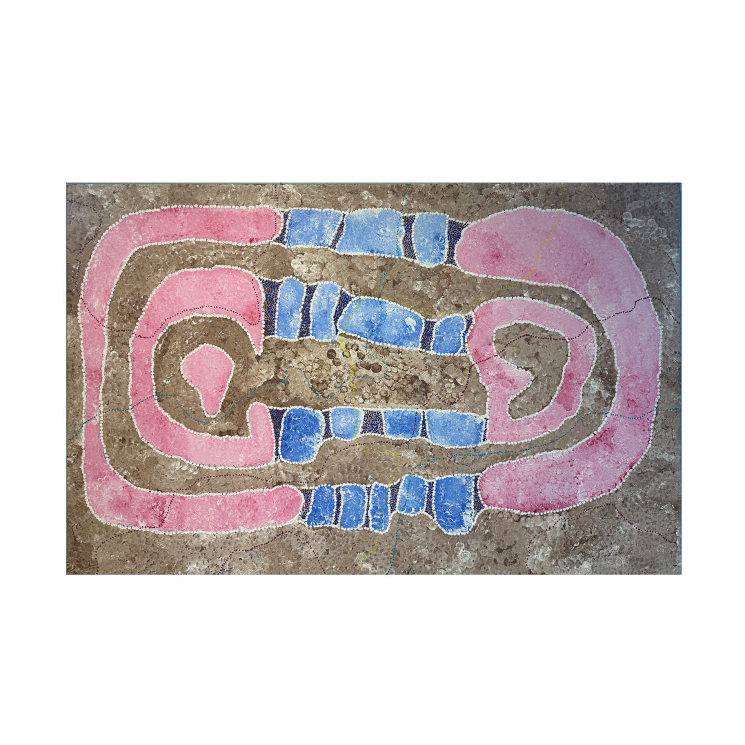 winnie reid nakamarra | original artwork | lupul rockhole - eagles nest - ID33723