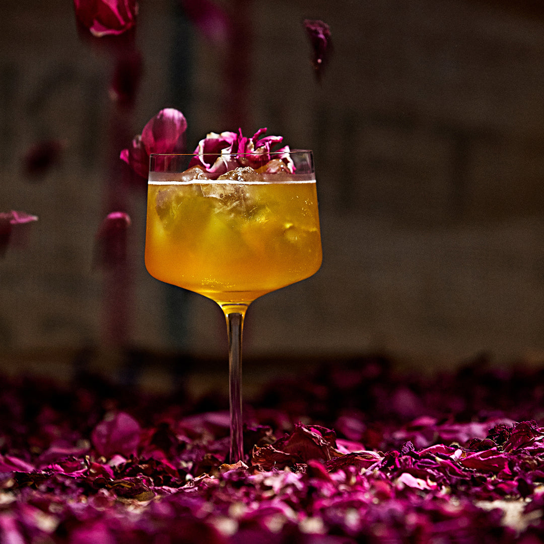 zone denmark | rocks copa + gin glass | set of 2 ~ DC