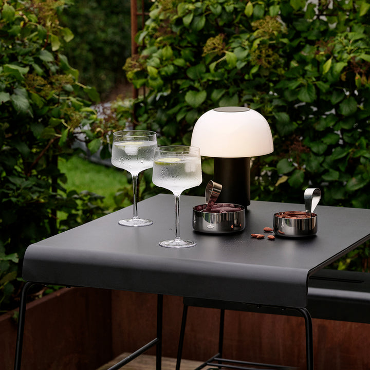 zone denmark | rocks copa + gin glass | set of 2 ~ DC