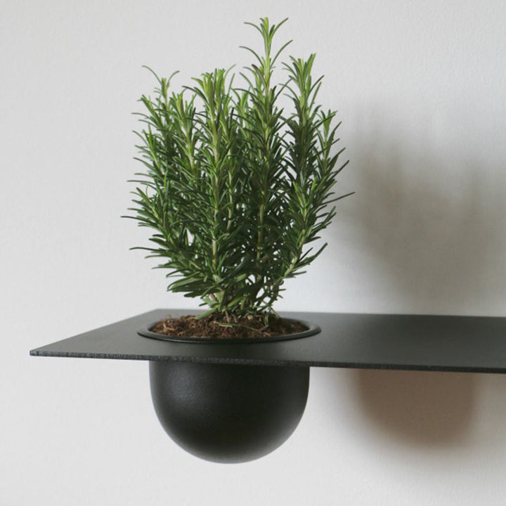 nichba | shelve01 | black left with bowl - LC