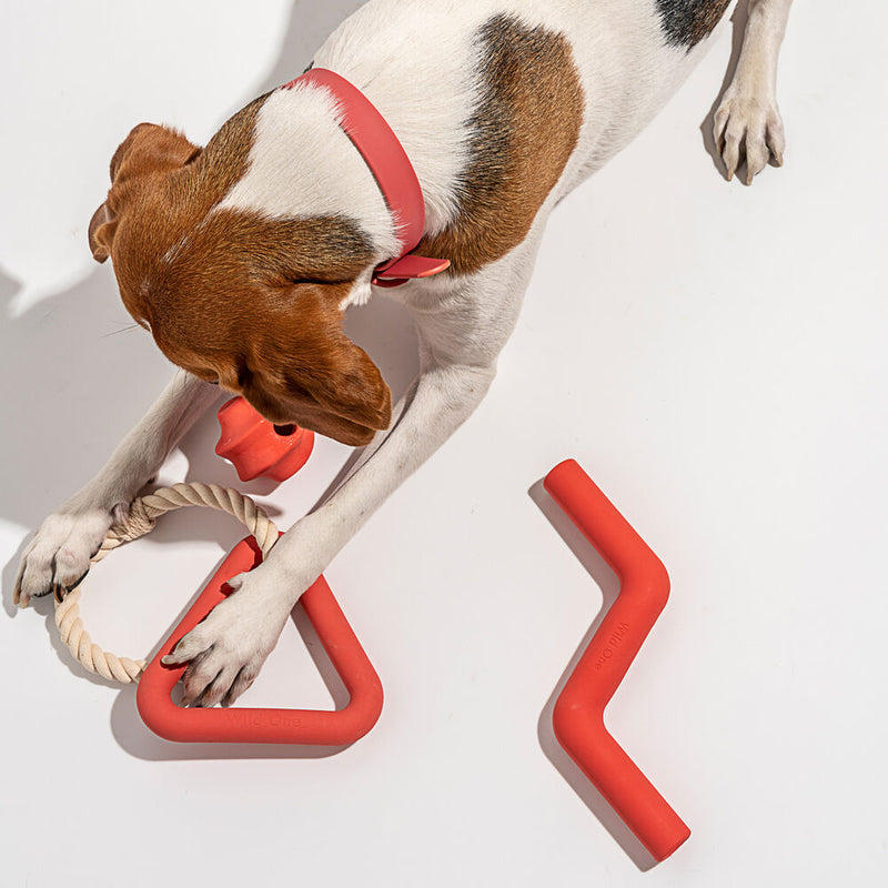 wild one | dog twist toss toy | red - LC