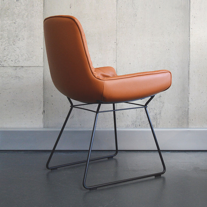 freifrau | leya armchair low | wire frame | cairo cognac leather