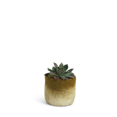 aveva | flower pot 18 | wool cover | olive small - LC