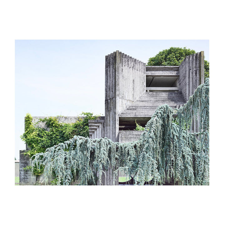 derek swalwell | photographic print | tomba brion 3 | ash frame