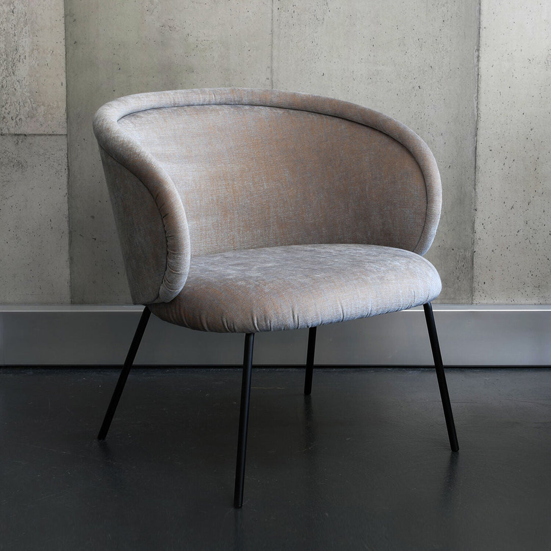 freifrau | ona cocktail armchair | maple 732 + steel frame black
