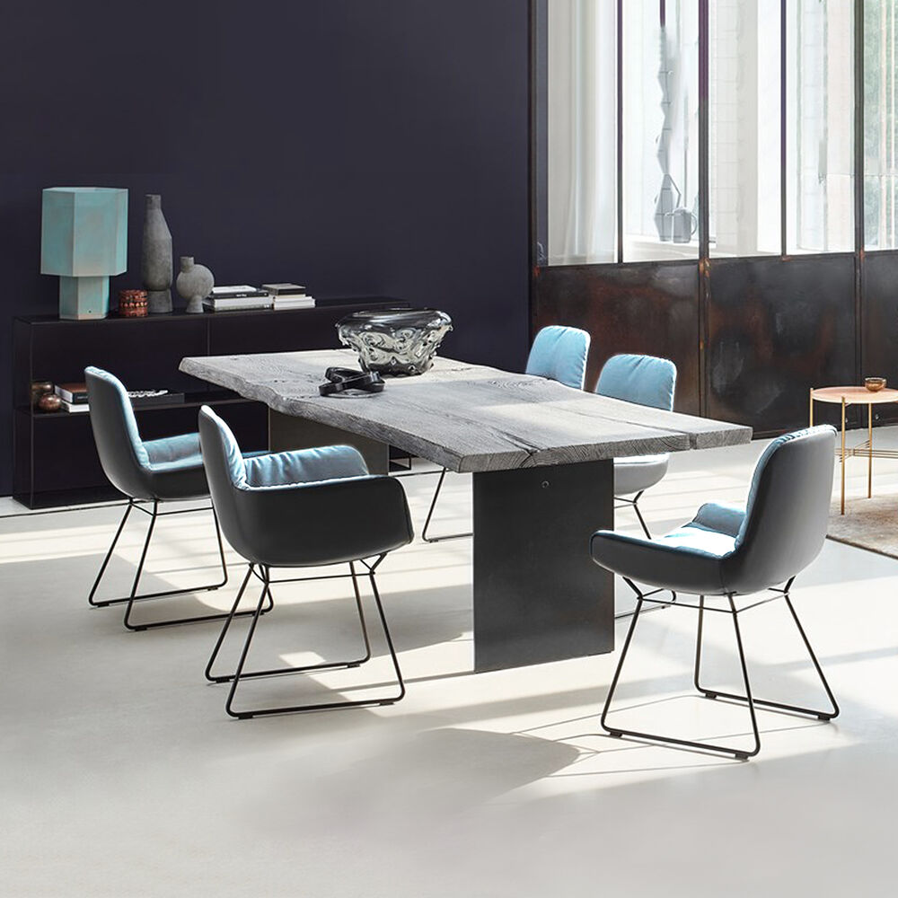 janua | sk 08 butterfly table | charburned oak silver shade + black base 260x100cm