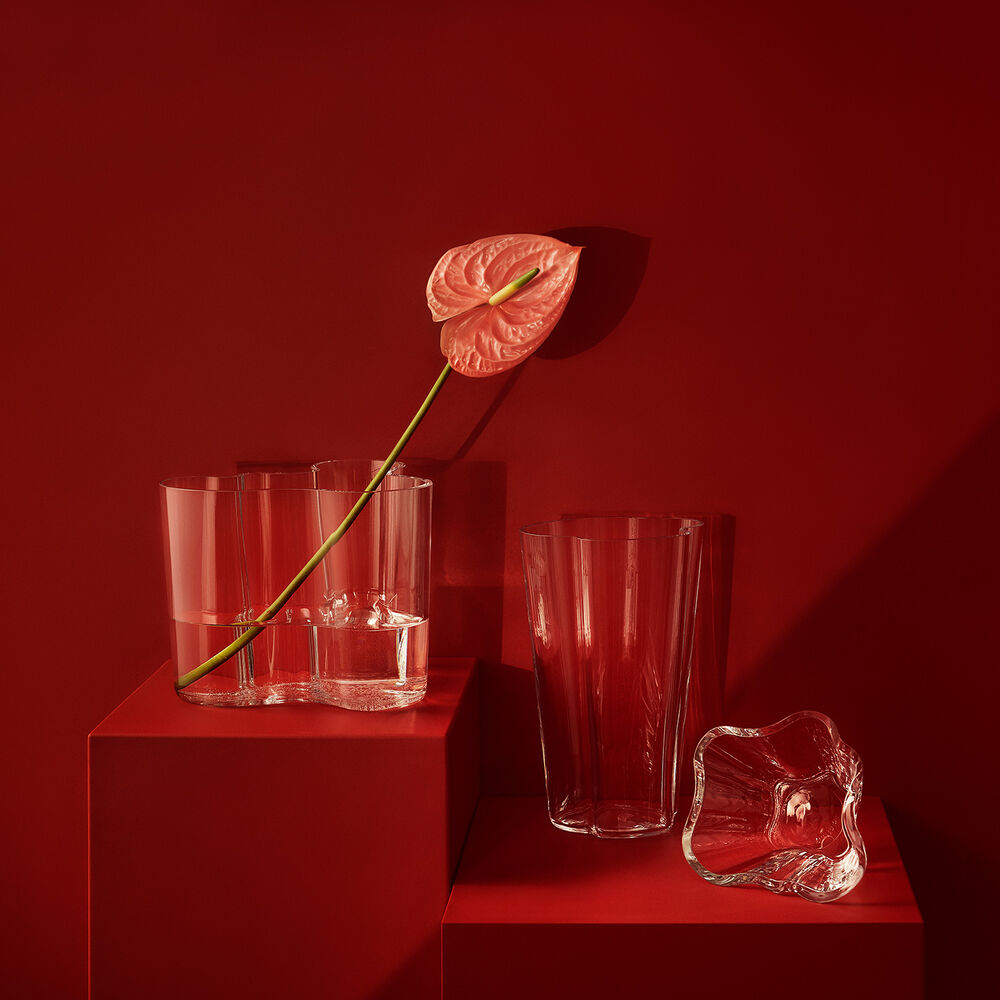 iittala | aalto bowl | clear - DC