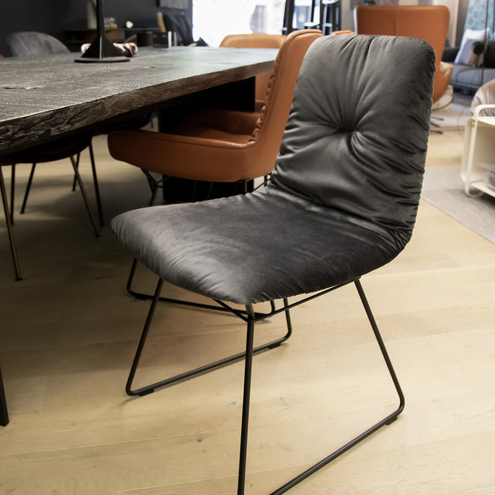 freifrau | leya chair | wire frame | avalon 005