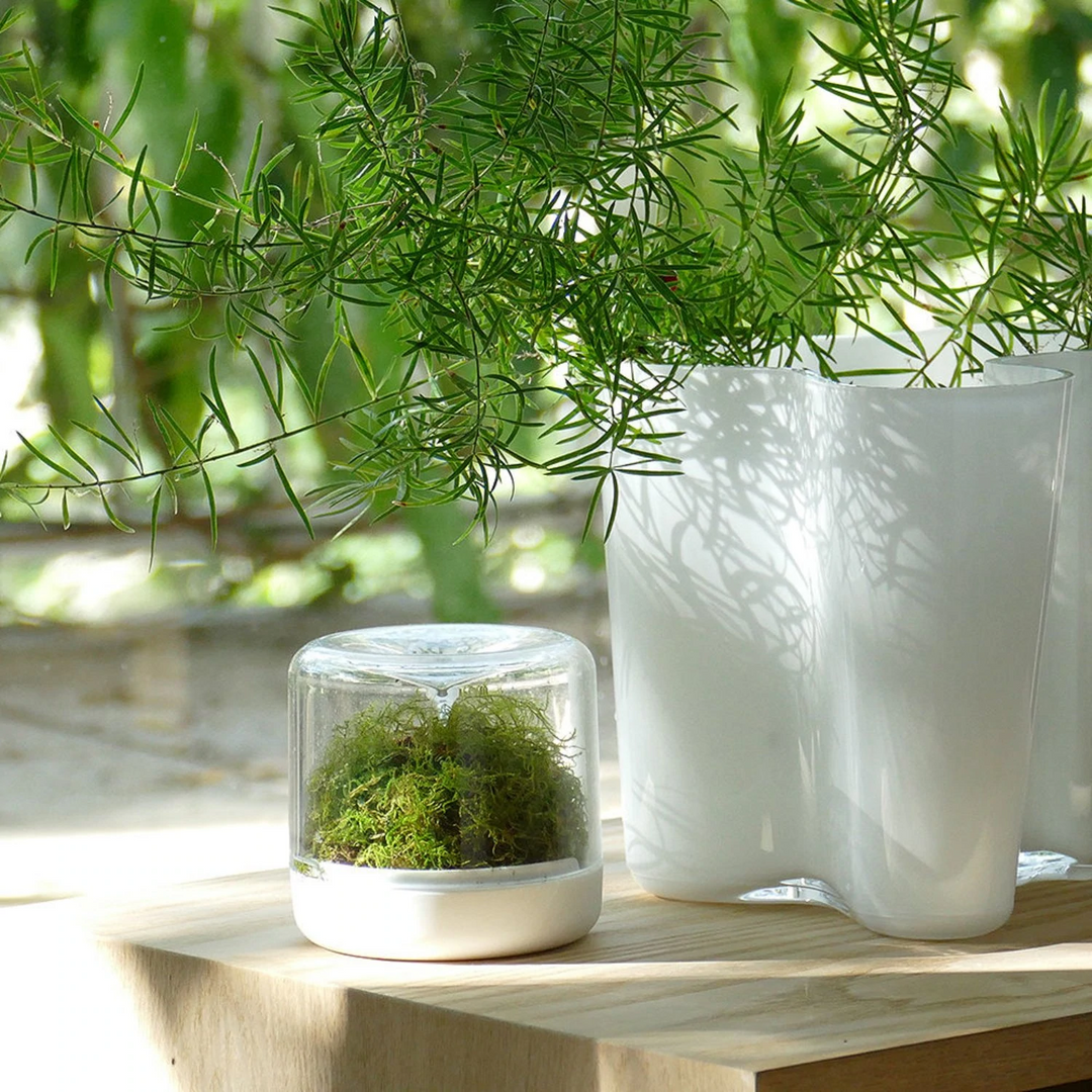 iittala | aalto savoy vase | white 16cm