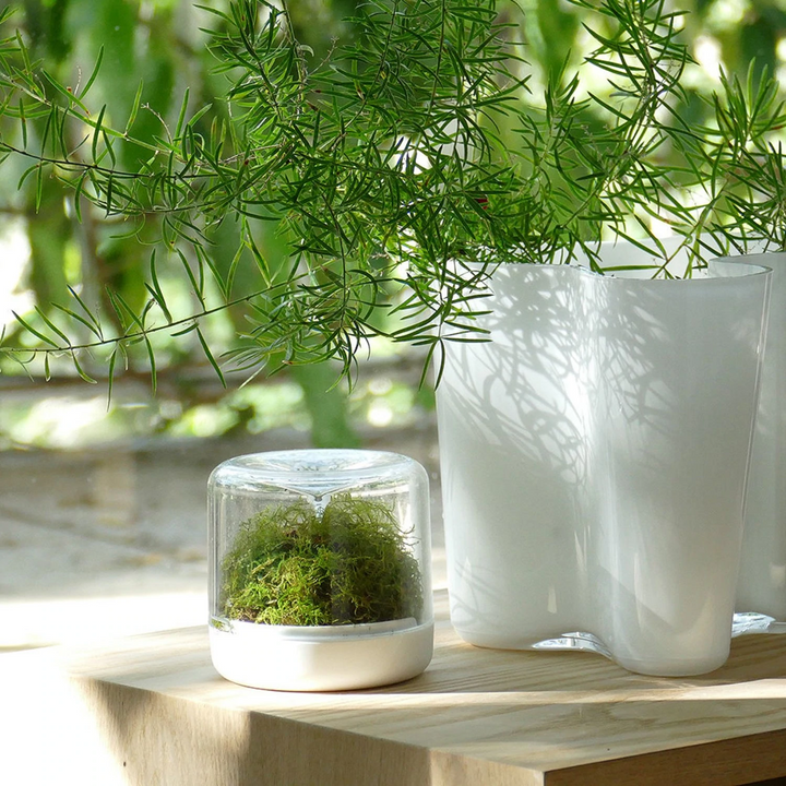 iittala | aalto savoy vase | white 16cm