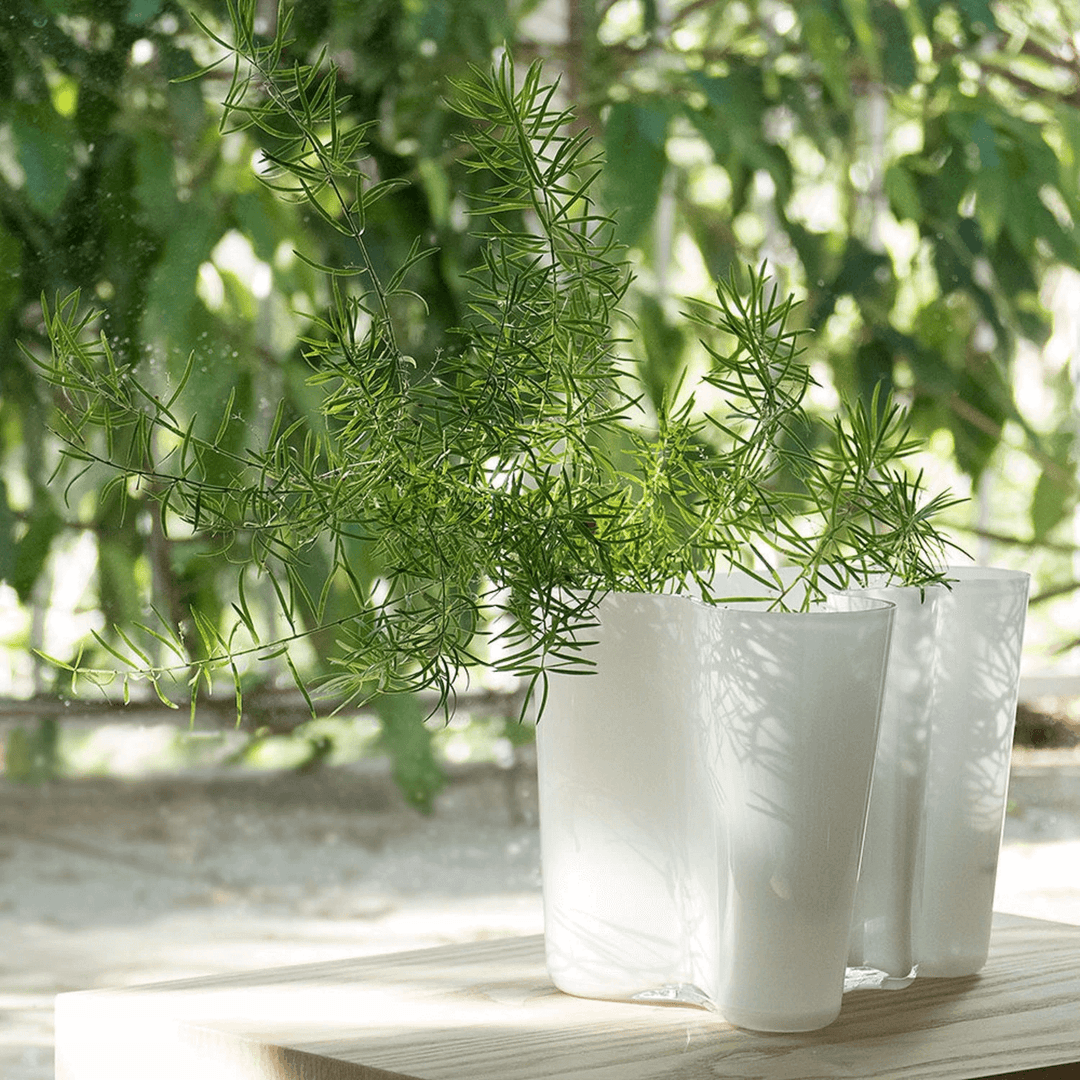 iittala | aalto savoy vase | white 16cm
