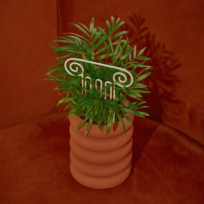 areaware | plant trellis mini | column ~ DC