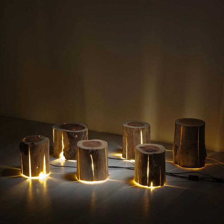 duncan meerding | cracked log lamp