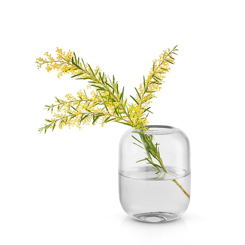 eva solo | acorn vase 16.5cm | clear