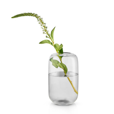eva solo | acorn vase 22cm | clear