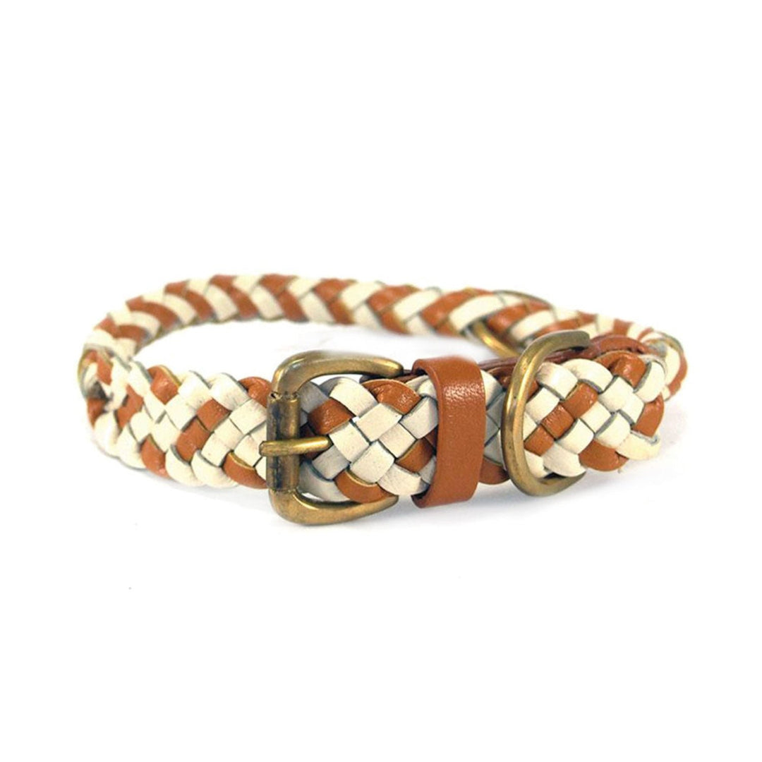 georgie paws | tonto dog collar | tan + chalk | extra large - LC