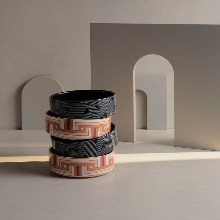 greg natale | paris pet bowl ~ DC