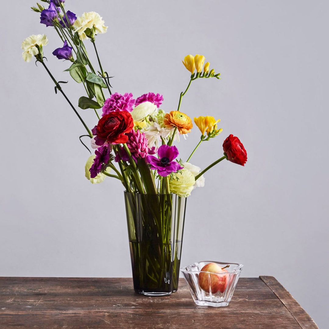 iittala | aalto bowl | clear - DC