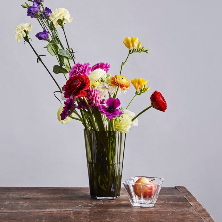 iittala | aalto bowl | clear - DC