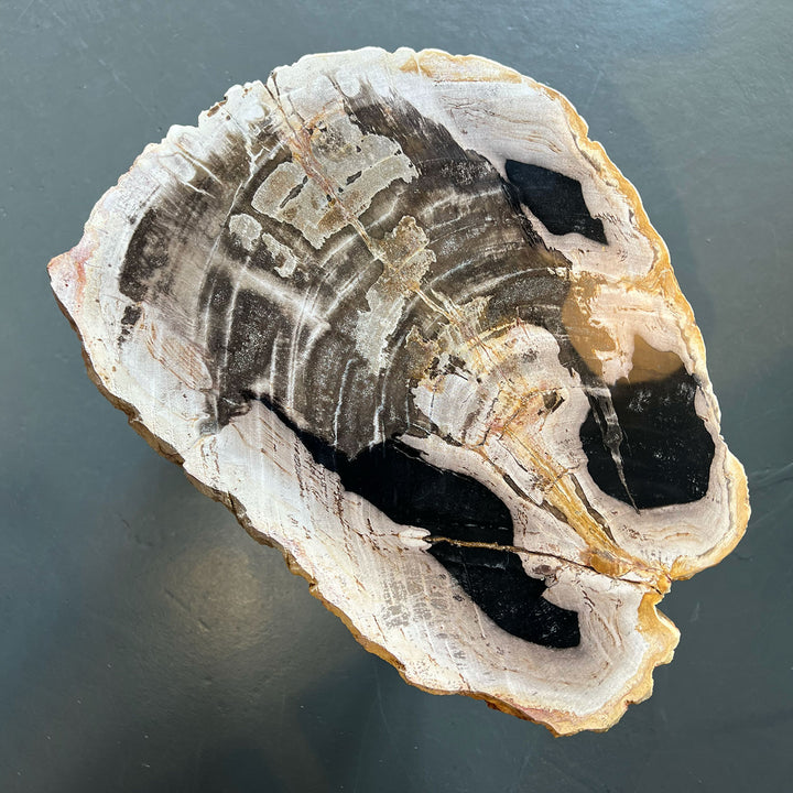 janua | bc 05 stomp stone table | 40cm | beige black 13