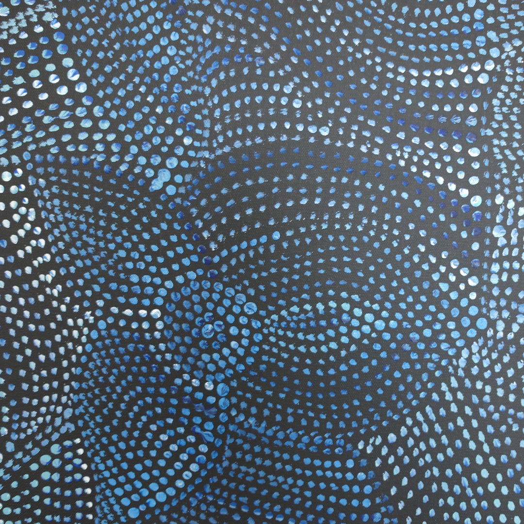 joy purvis pitjara | original artwork | bush seeds dreaming - ID33805