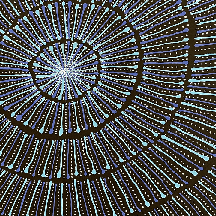 mary rumble pitjara | original artwork | bush yam - ID26592