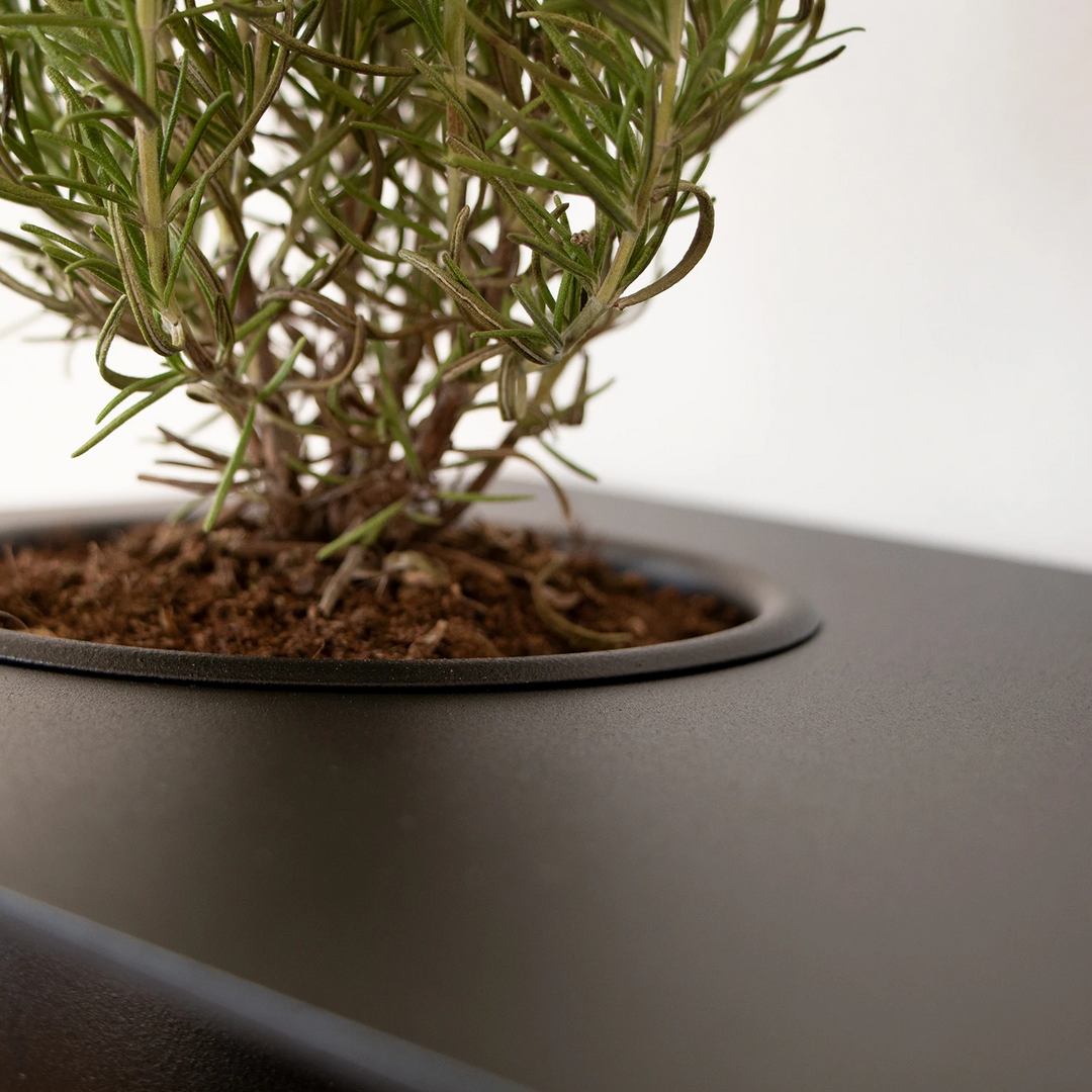 nichba | shelve01 | black left with bowl - LC